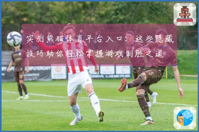 实测熊猫体育平台入口：这些隐藏技巧助你轻松掌握游戏制胜之道